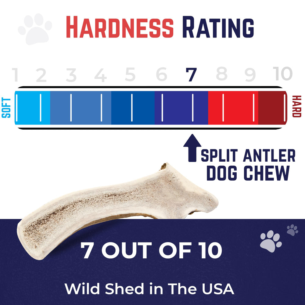 Devil Dog Pet Co elk antler no odor, clean chew option.