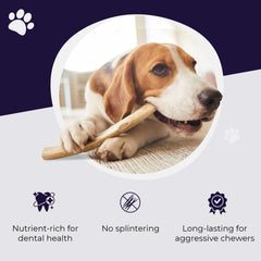 Devil Dog Pet Co dog chewing action shows long lasting chew potential.
