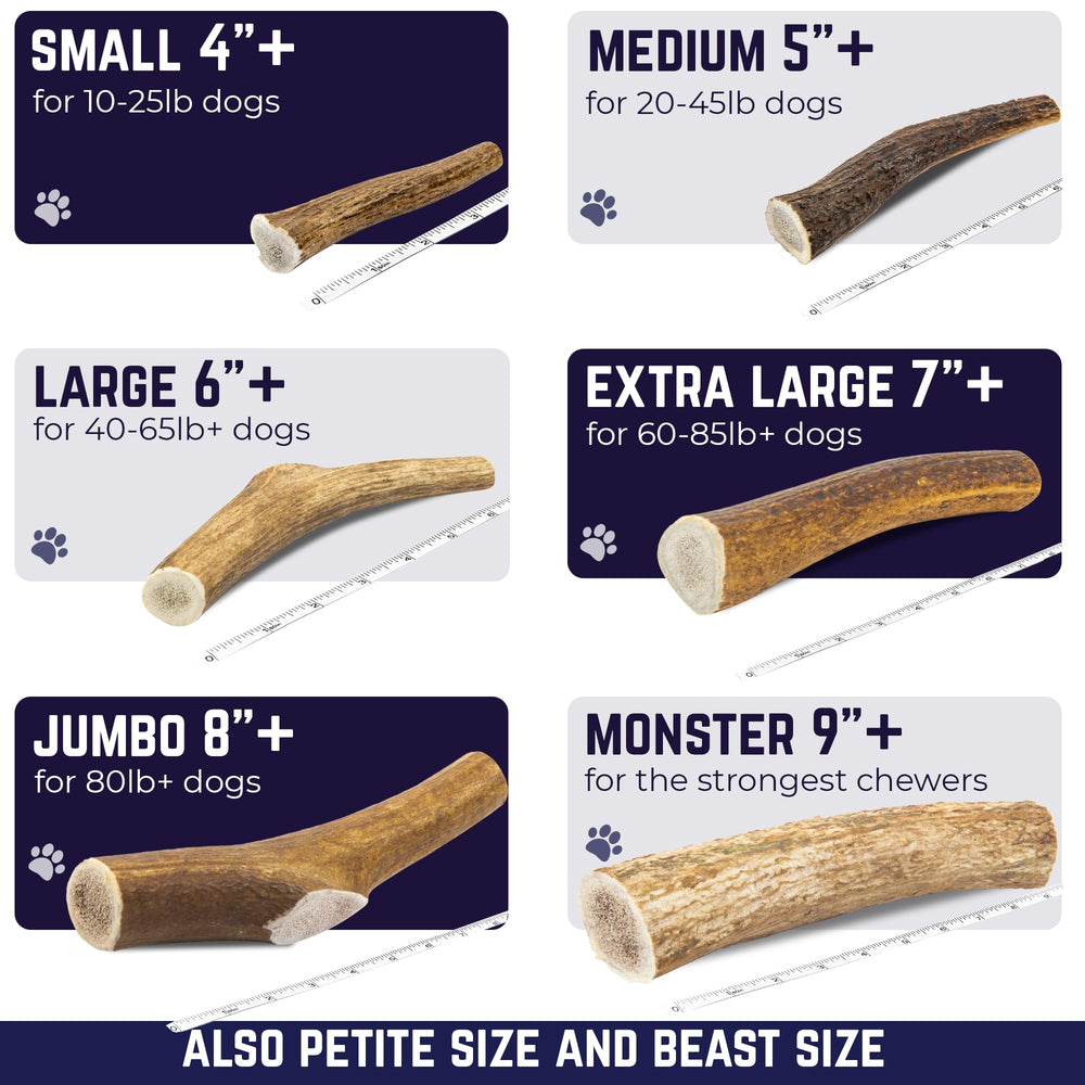 Devil Dog Pet Co ethically sourced elk antler from Rocky Mountains sourcing.