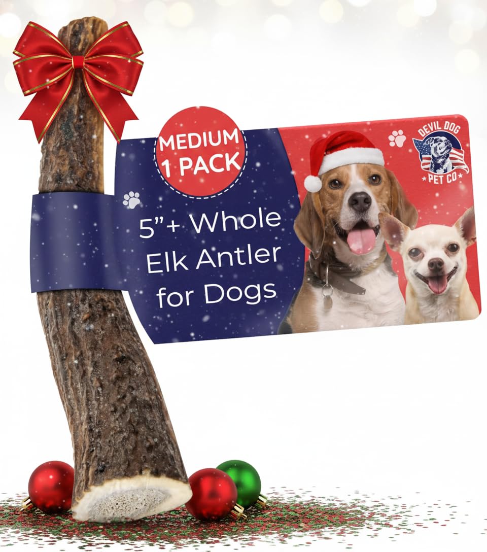 Devil Dog Pet Co elk antler medium 5-inch pack provides a long-lasting chew for strong chewers.