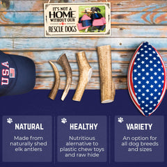Devil Dog Pet Co naturally shed elk antler from mountains for eco friendly sourcing.
