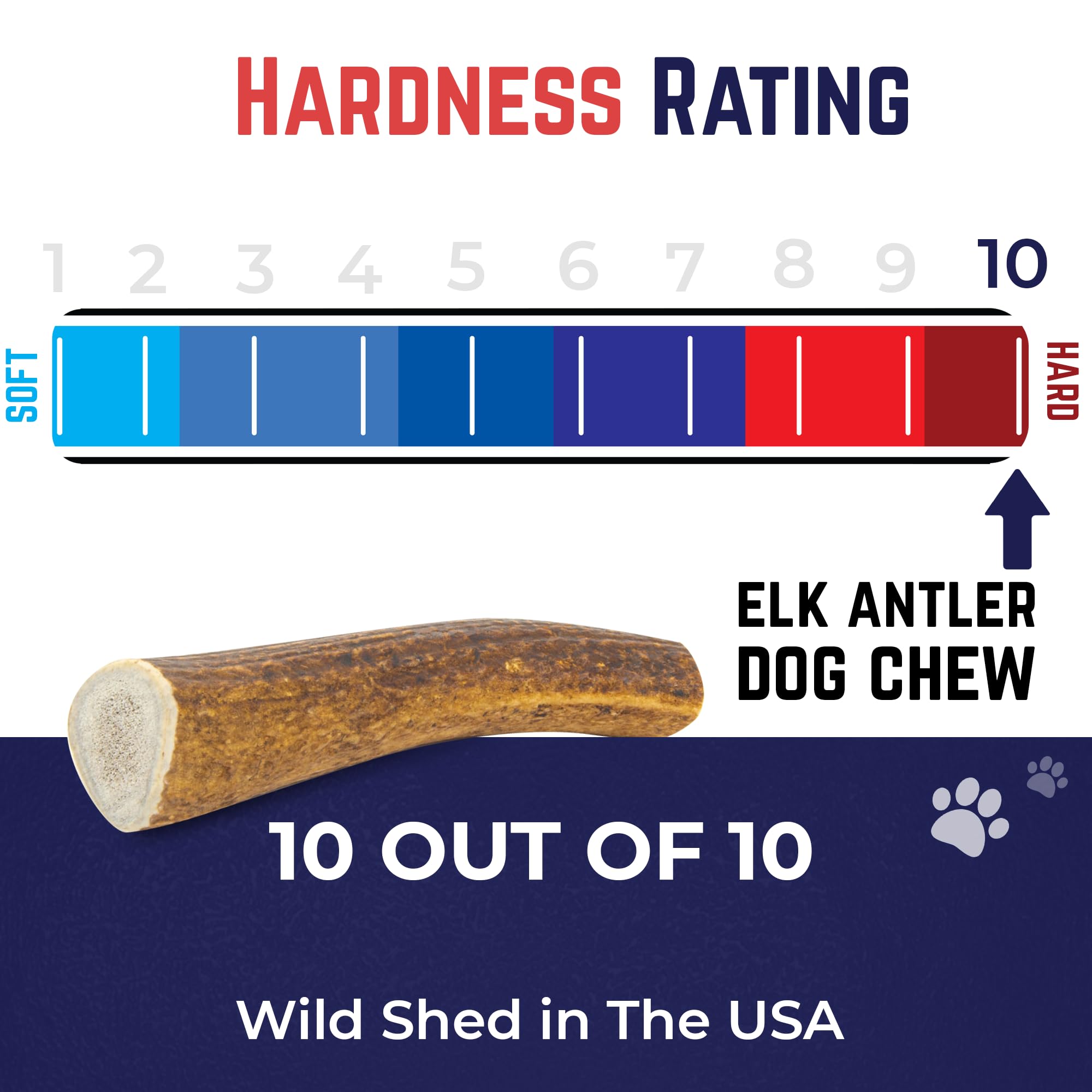 Devil Dog Pet Co ethical sourcing Rocky Mountains photo promotes wildlife-conscious practices.