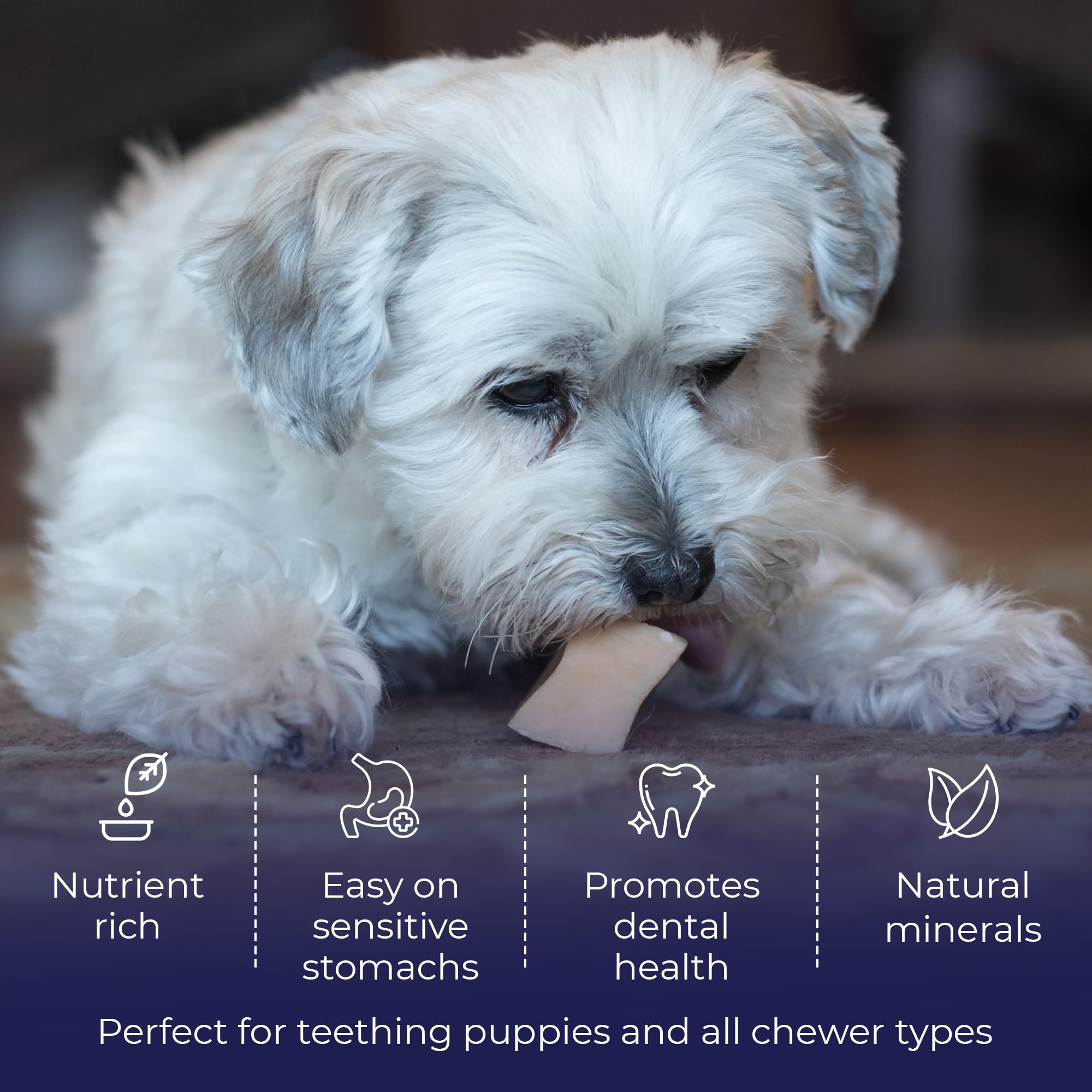 Lactose-free option for sensitive tummies in Devil Dog line