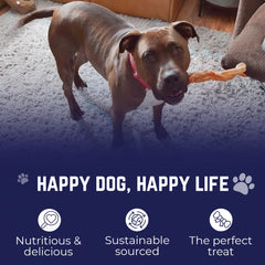 Devil Dog Pet Co jumbo bully sticks natural ingredients close-up single-ingredient beef