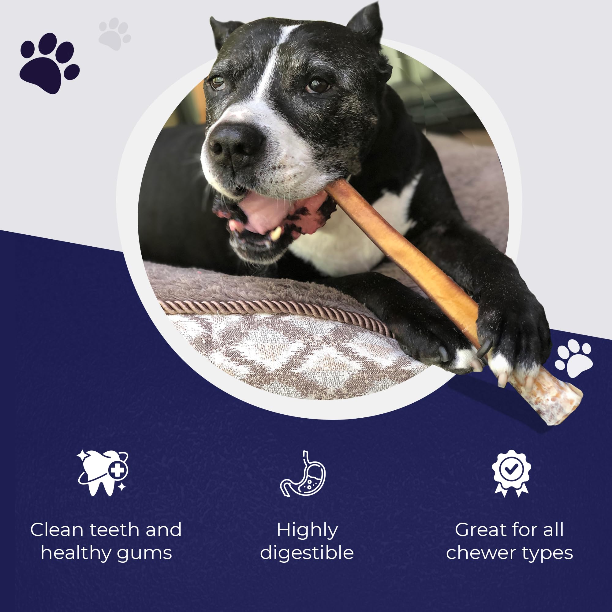 Devil Dog Pet Co long-lasting durable-texture chew engages dogs