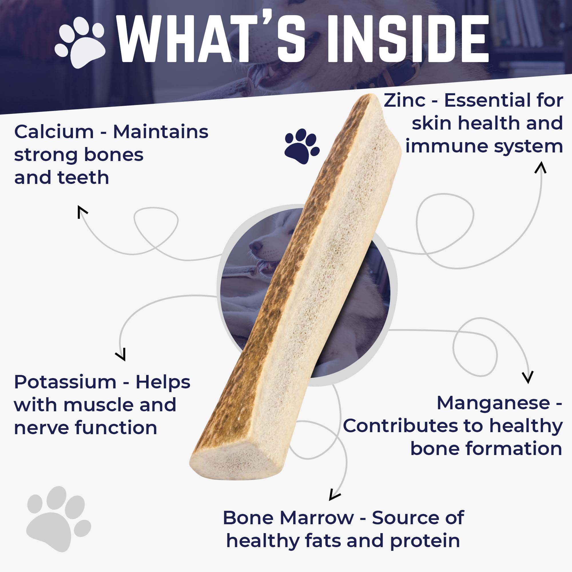 Devil Dog Pet Co naturally shed elk antler, ethically sourced.
