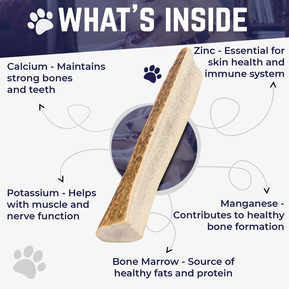 Devil Dog Pet Co naturally shed elk antler, ethically sourced.
