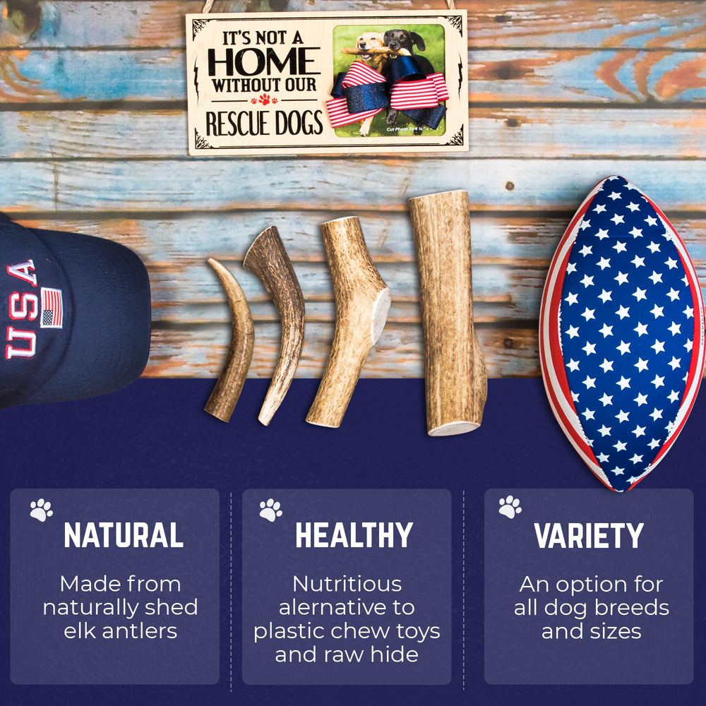 Devil Dog Elk Antlers Beast 10plus durability for aggressive chewers during routines.