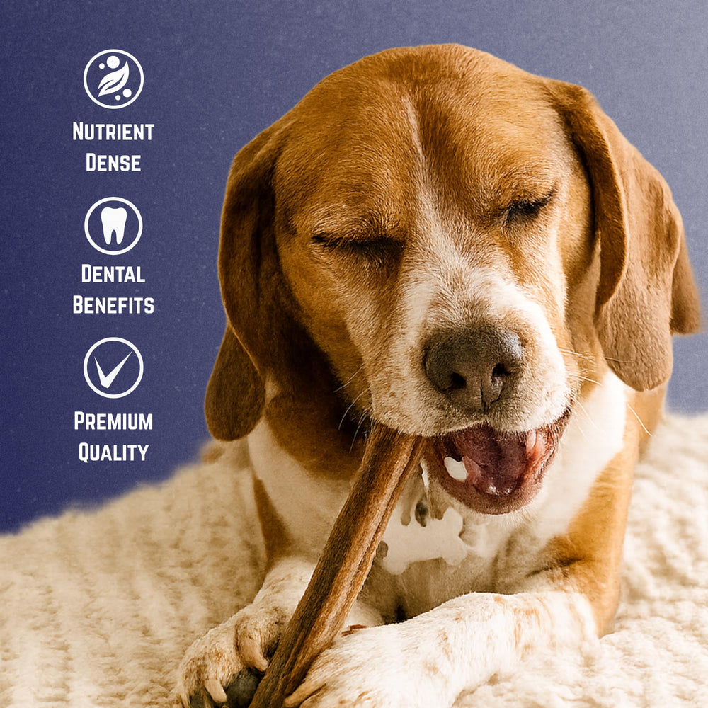 Devil Dog Pet Co. Bully Sticks offer high-protein, low-fat support for active dogs.