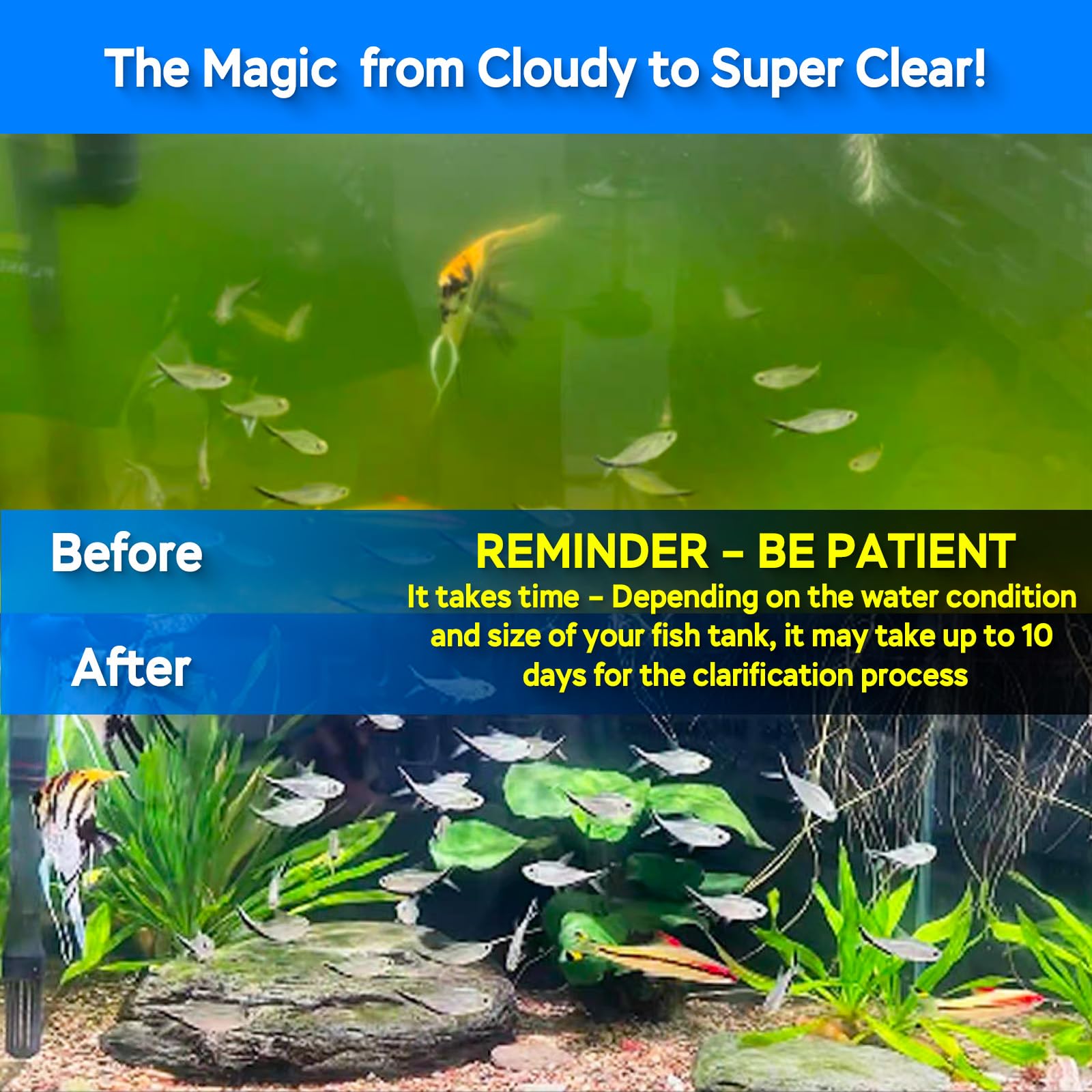 Devopet algae-clean lamp in use image highlighting crystal-clear water after treatment.