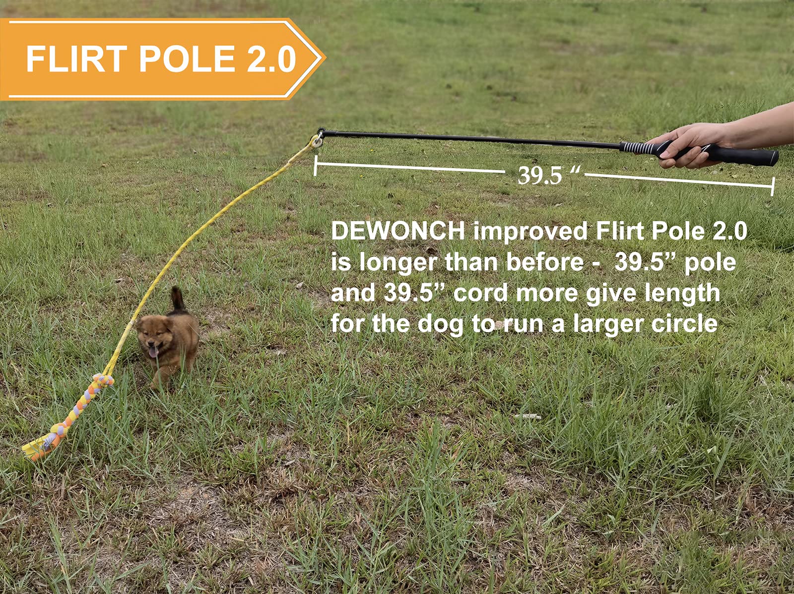 Dewonch Flirt Pole dog fetch play boosts stamina and focus during games