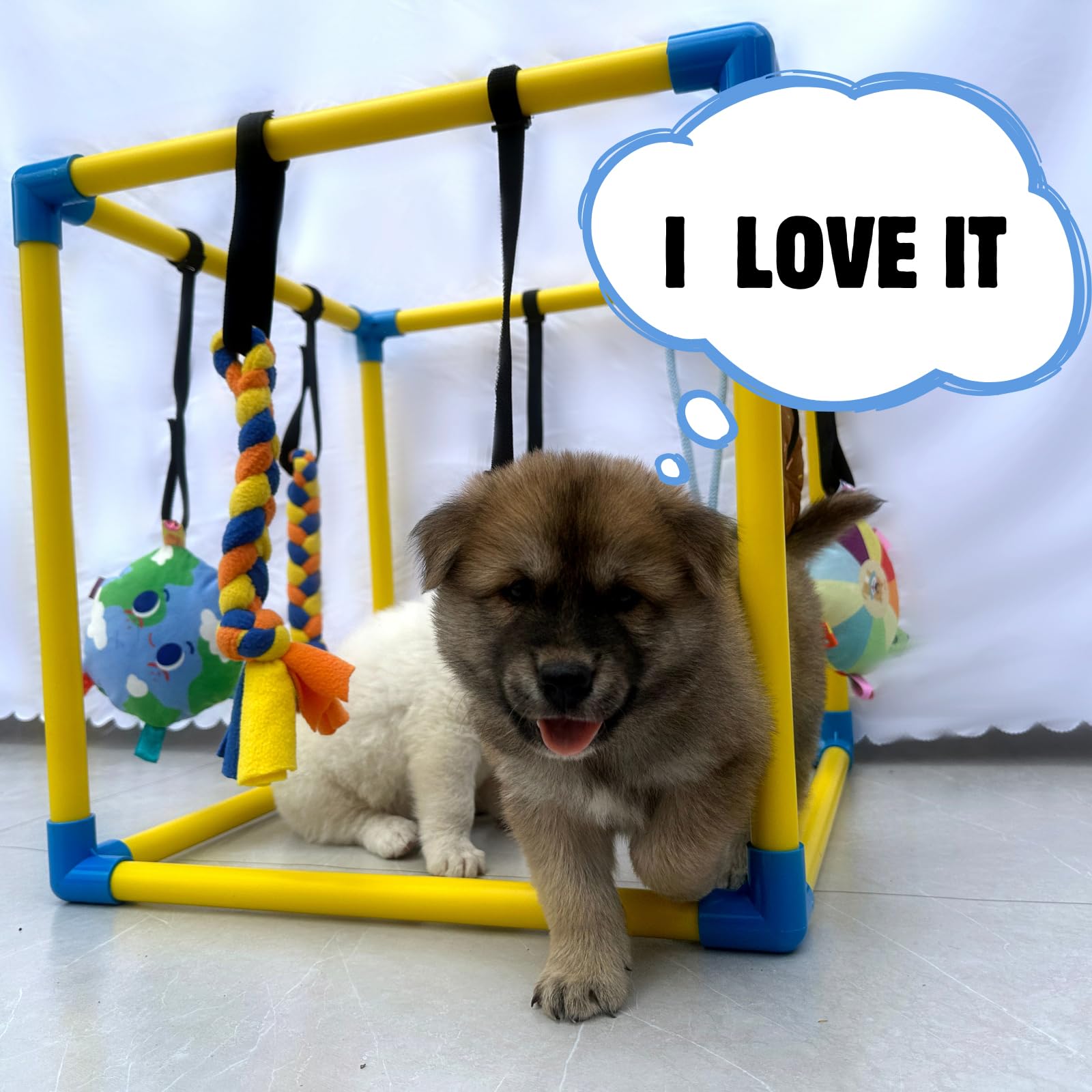 Dewonch Puppy Play Gym indoor-use setup example inside a whelping box.