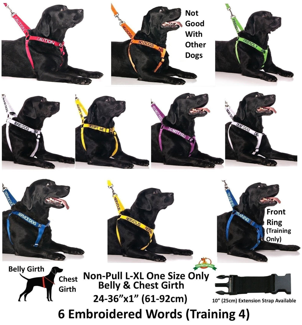 Dexil Adopt Me yellow adjustable neck and chest straps ensure a snug fit.
