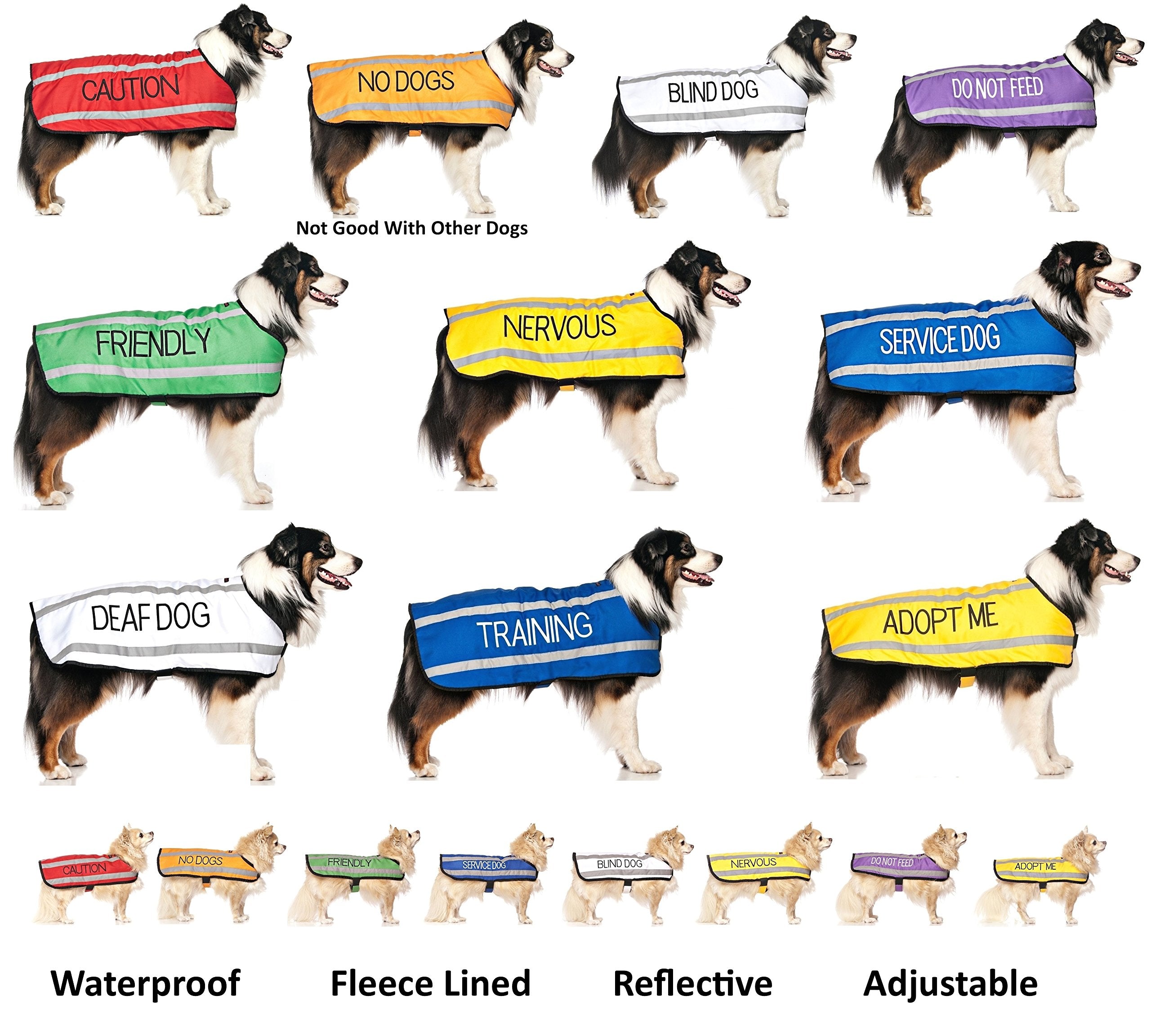Dexil Adopt Me color-code system demonstrates quick temperament cues for social outings.
