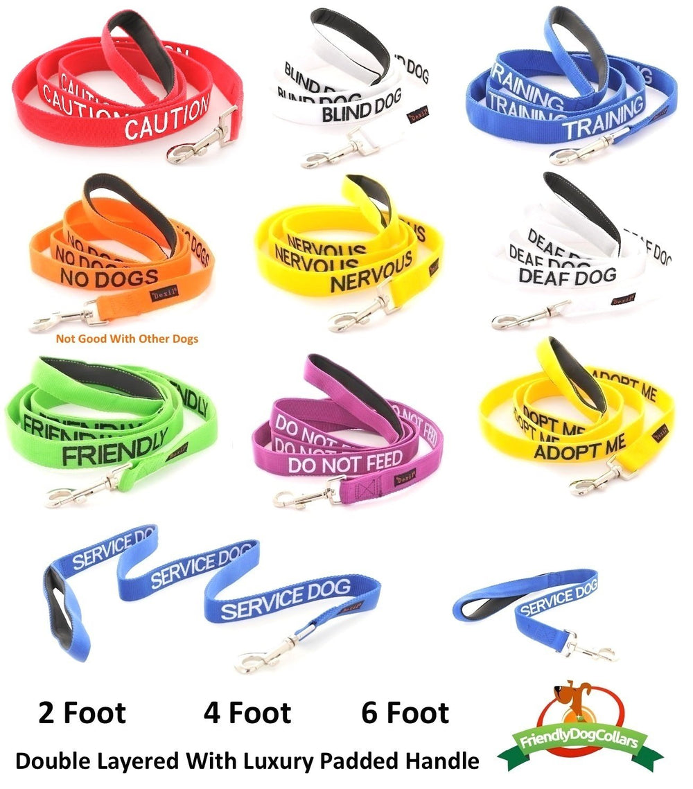 Dexil Adopt Me yellow embroidered text enhances clear communication.