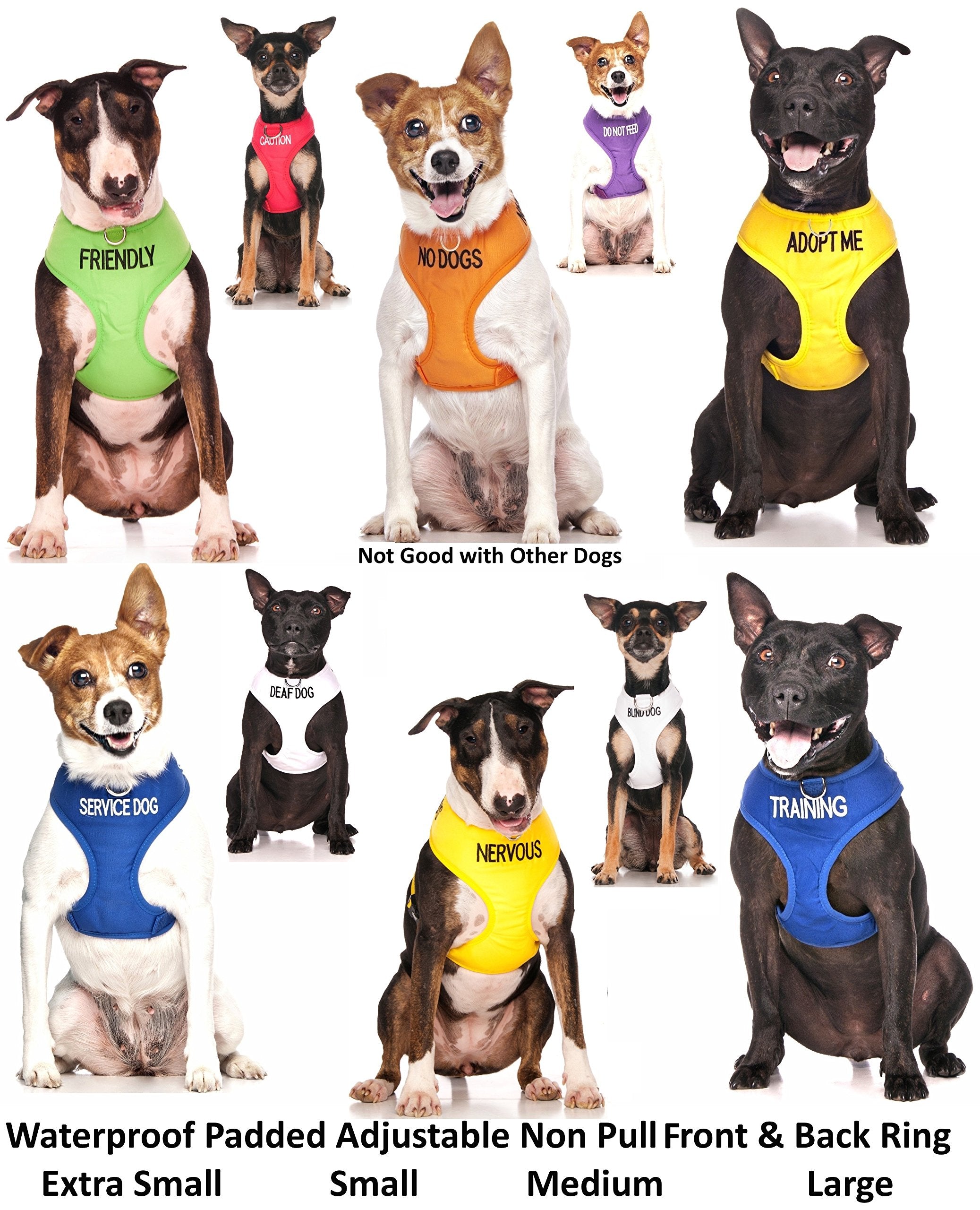 Dexil Adopt Me yellow front D-ring for secure leash control.