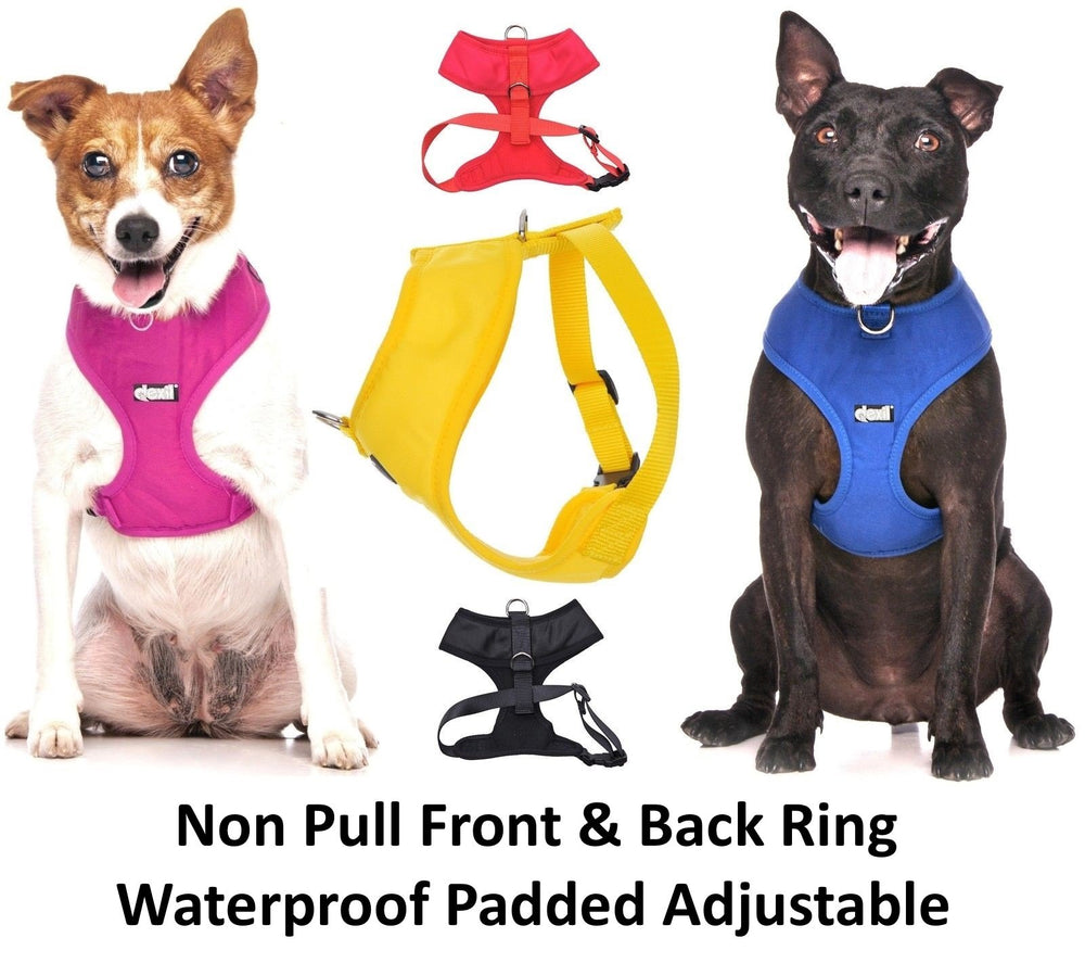 Dexil Adopt Me small-size vest aids comfortable handling in crowded areas.