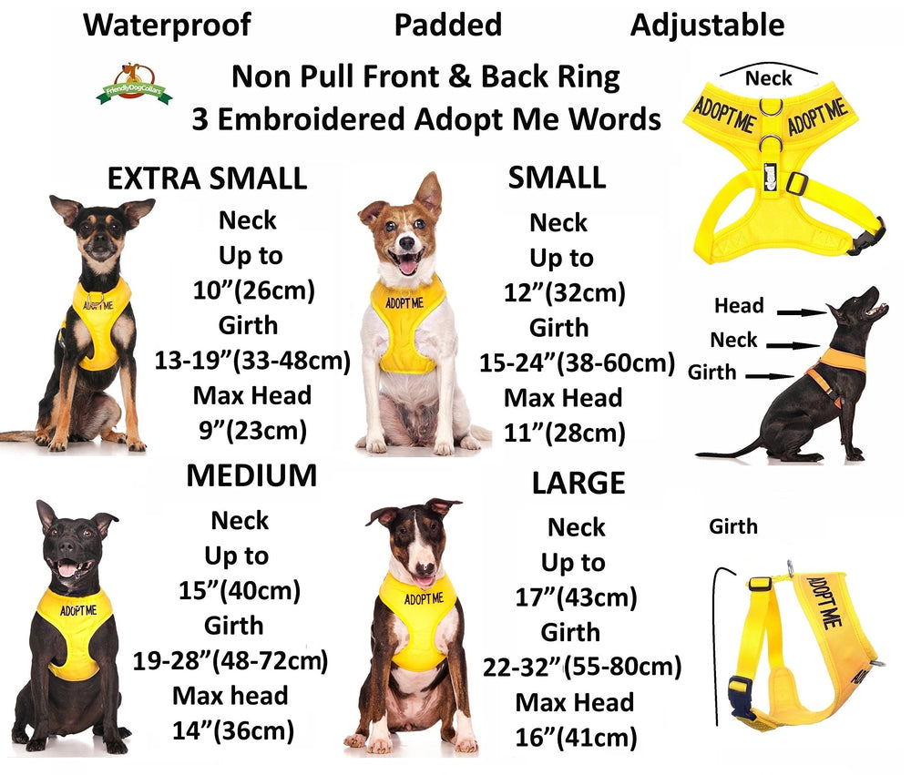 Dexil Adopt Me yellow vest side D-ring highlights no-pull harness option.