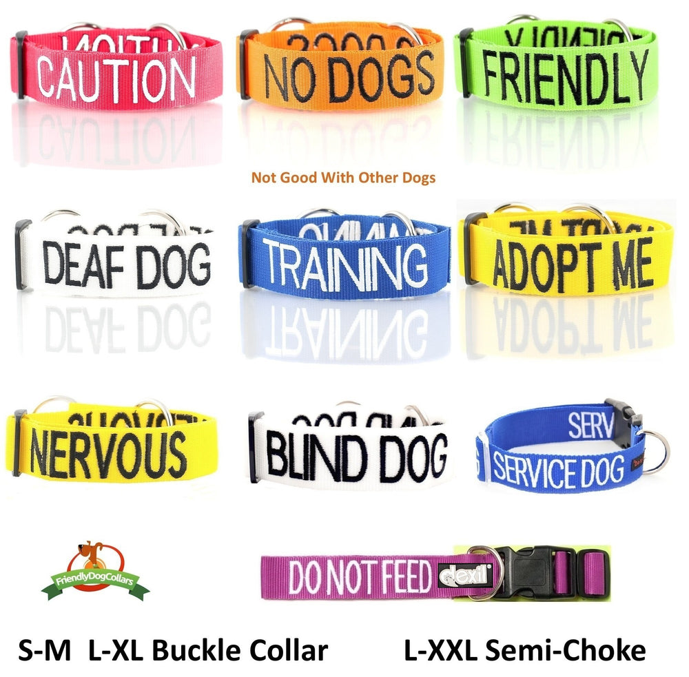 Dexil Adopt Me yellow waterproof fabric withstands rain during walks.