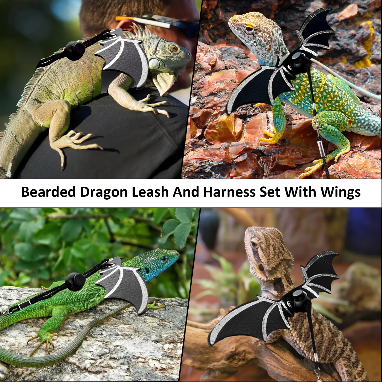 Dexspoeny outdoor travel setup suitable for small pets beyond bearded dragons