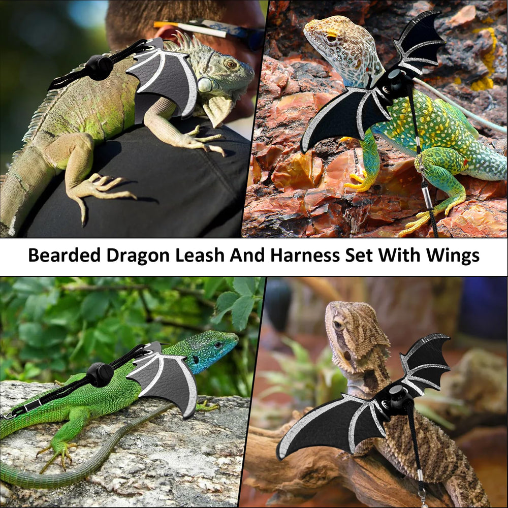 Dexspoeny outdoor travel setup suitable for small pets beyond bearded dragons