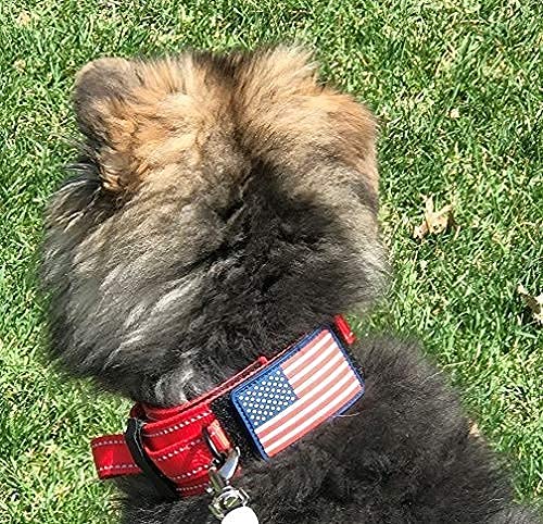 DEZIZEUSK9 adjustable neck range 16-25 inches demonstrating versatile fit.