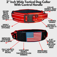 DEZIZEUSK9 collar with control handle shown in use for improved dog control.