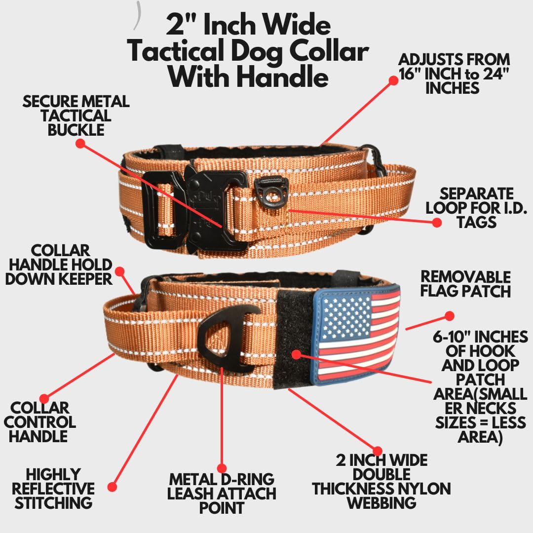 DEZIZEUSK9 collar handle closeup showing control during walks
