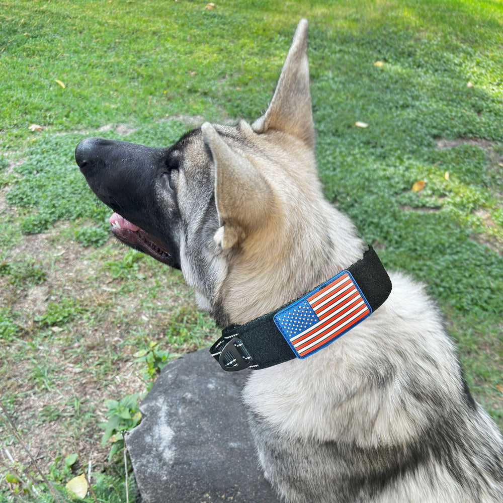 DEZIZEUSK9 collar with sturdy handle for quick control during training.