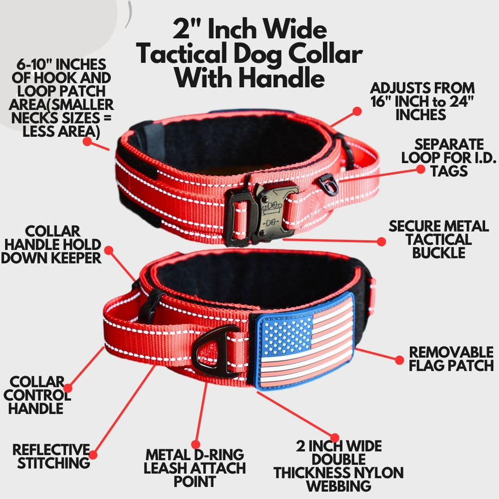 DEZIZEUSK9 control handle collar for steady guiding during training.