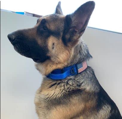 DEZIZEUSK9 custom dog collar name plate for quick personalization
