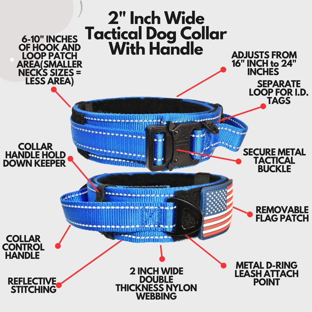 DEZIZEUSK9 heavy-duty buckle close-up showing secure closure for durable training