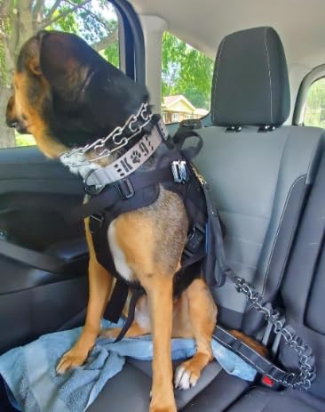 DEZIZEUSK9 leash offers dual neoprene padded handles for comfort during long walks.