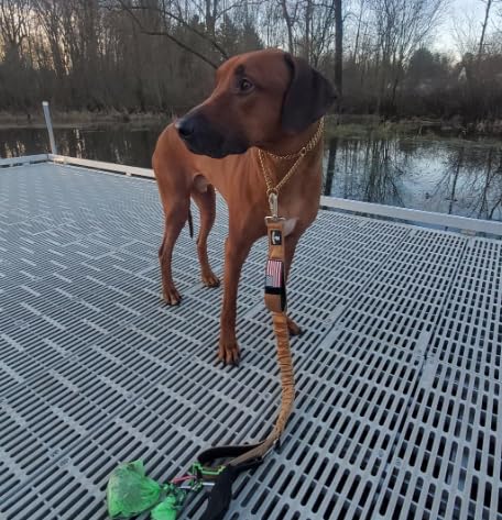 DEZIZEUSK9 durable materials support long-lasting use and training sessions.