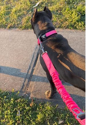DEZIZEUSK9 leash comes with removable USA flag patch for a patriotic touch.