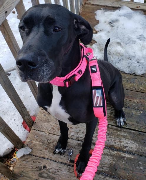 DEZIZEUSK9 heavy-duty leash in-use during outdoor adventures with secure control.