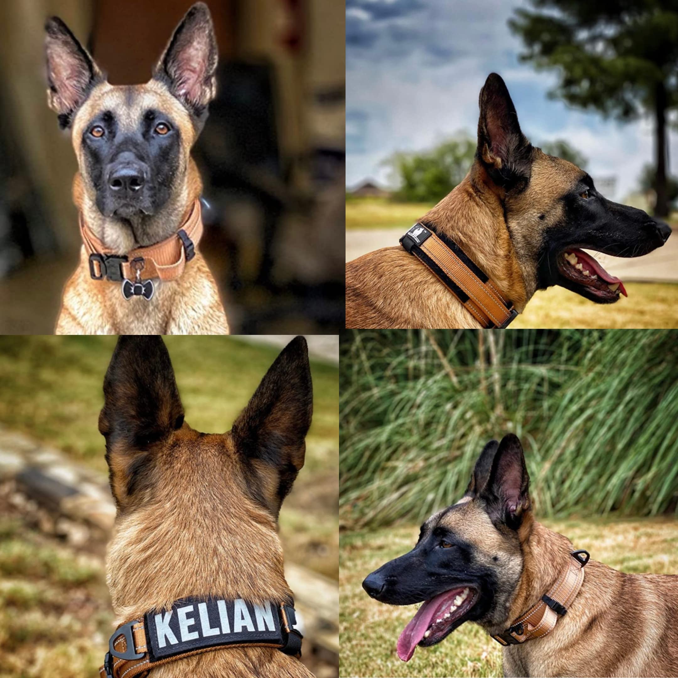 DEZIZEUSK9 heavy-duty nylon webbing designed for daily wear
