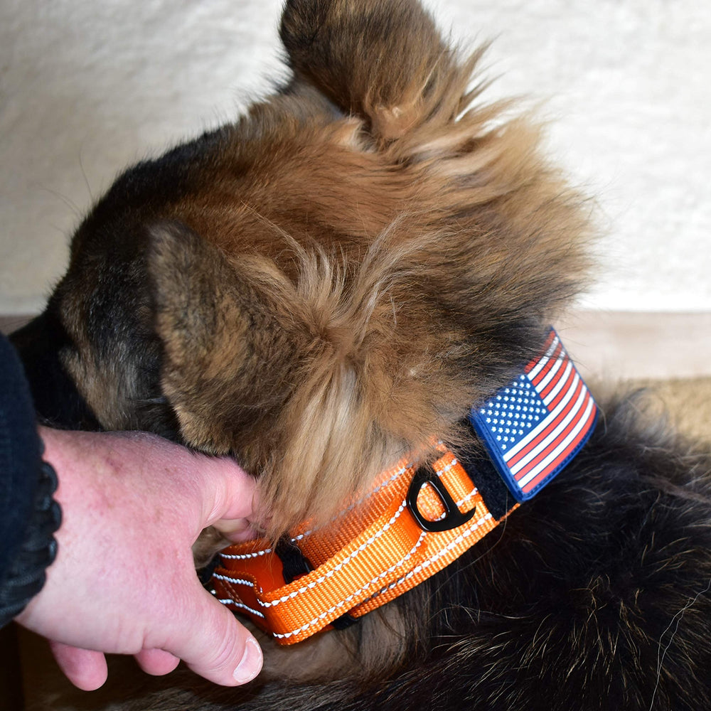 DEZIZEUSK9 id tag loop ready for easy tag updates.