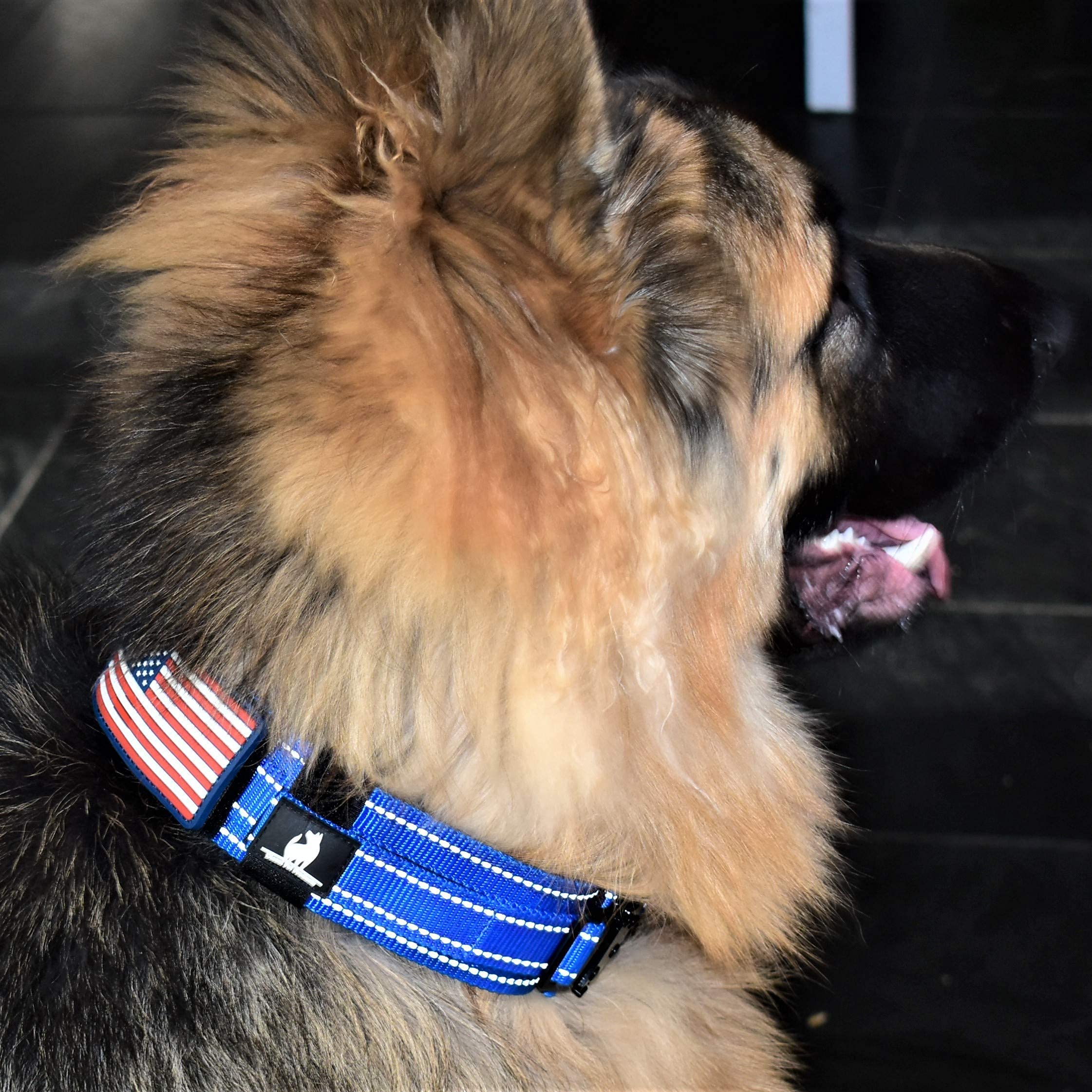 DEZIZEUSK9 neck size range 16–25 inches ensures versatile fit for medium to large dogs