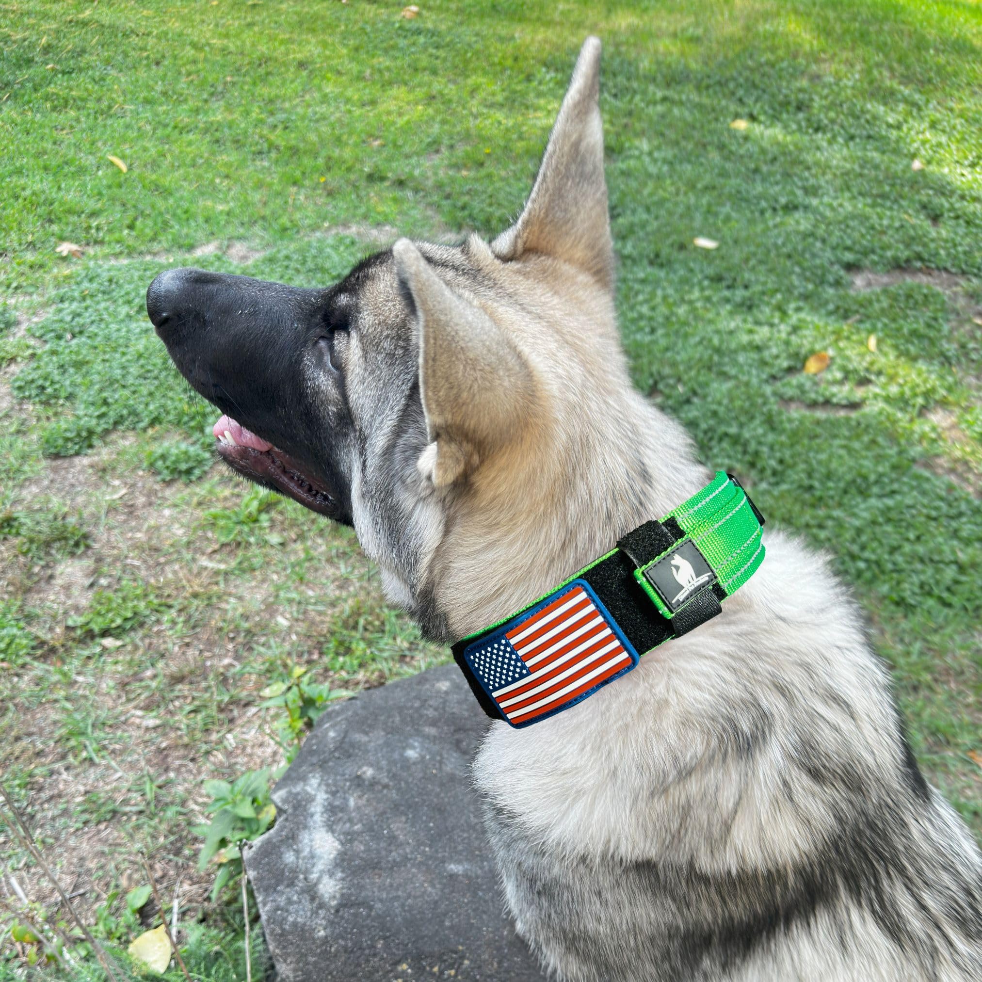 DEZIZEUSK9 nylon webbing close-up highlighting rugged durability and grip