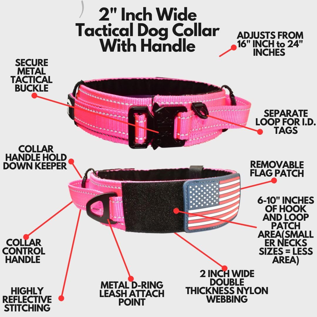 DEZIZEUSK9-heavy-duty-buckle-closeup highlights the secure metal buckle and quick-release mechanism