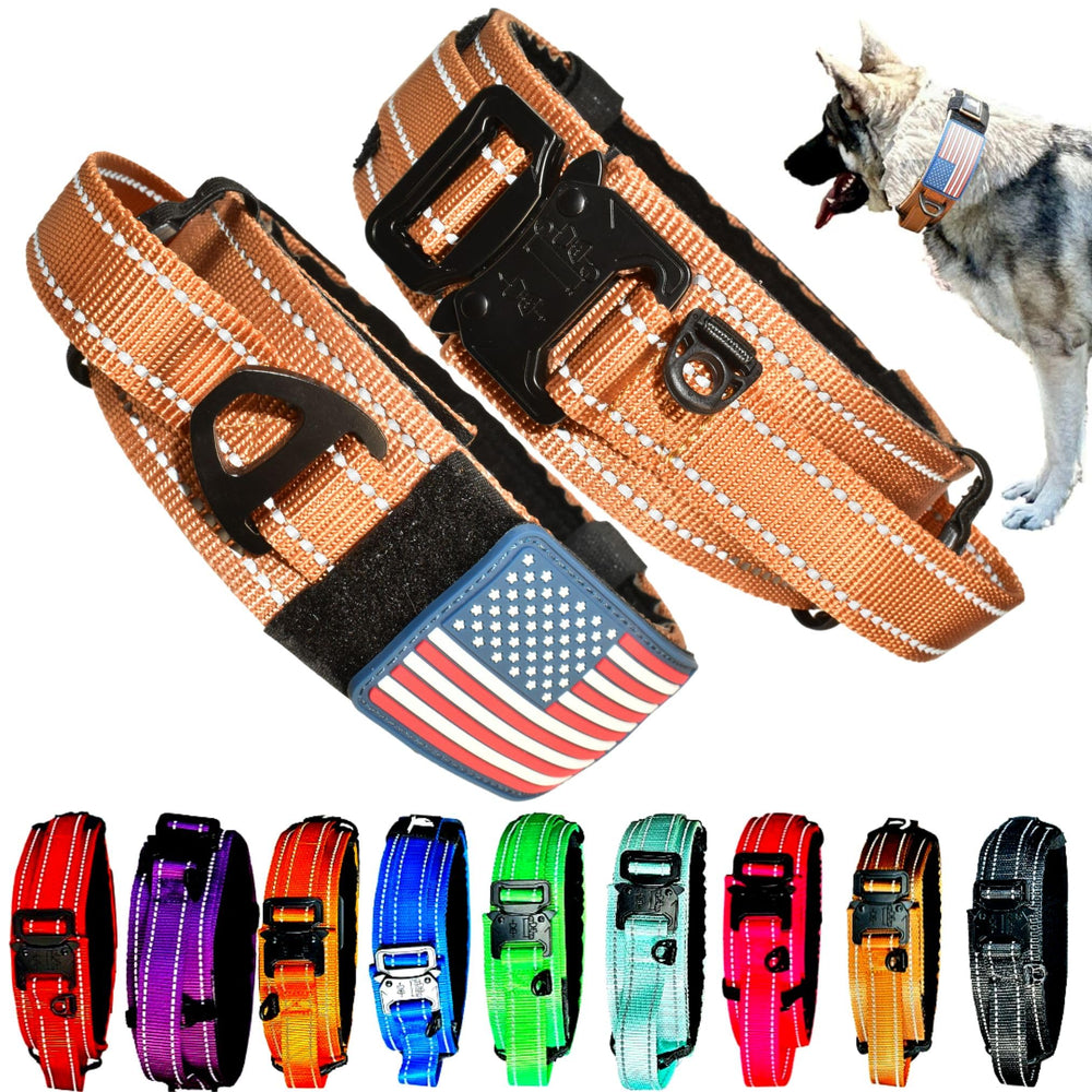 DEZIZEUSK9 tactical collar buckle highlighting heavy-duty design for durability during training
