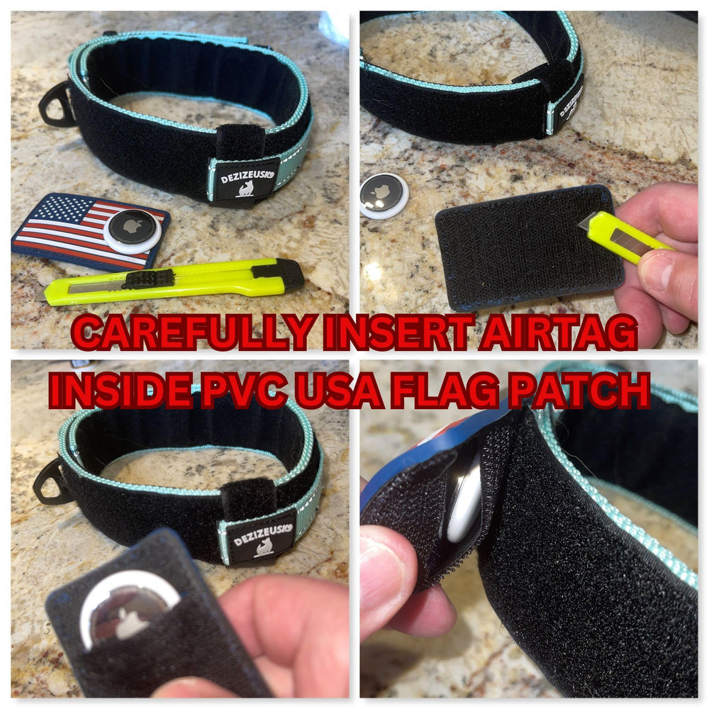 DEZIZEUSK9 training-friendly collar for daily wear.