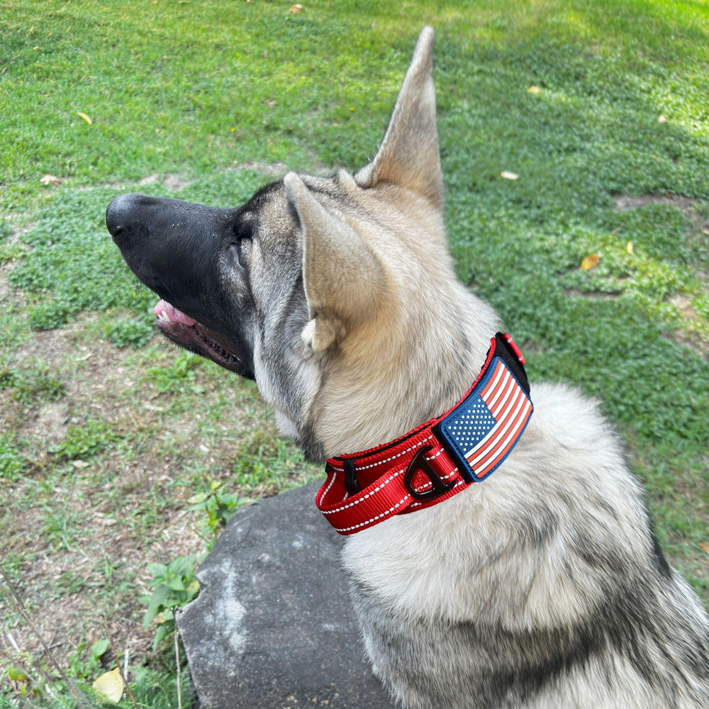 DEZIZEUSK9 USA flag patch displayed for premium patriotic style.