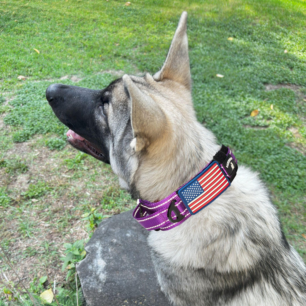 DEZIZEUSK9 USA flag patch detail on premium dog collar