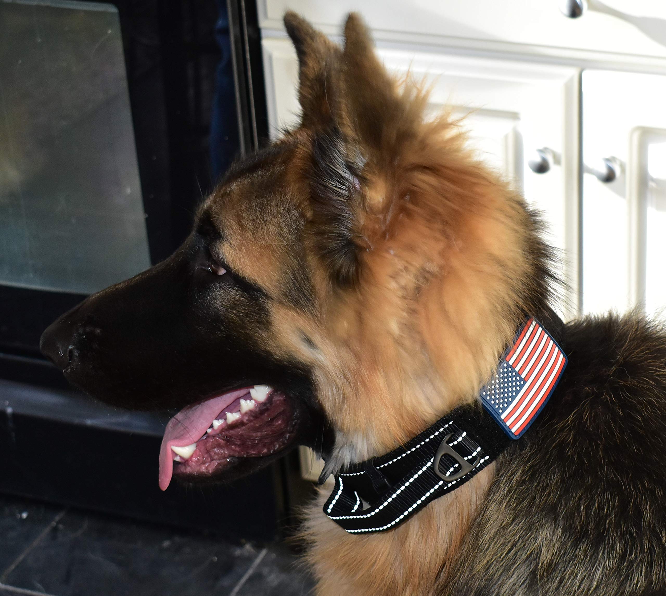 DEZIZEUSK9 USA flag patch on collar for outdoor adventures.