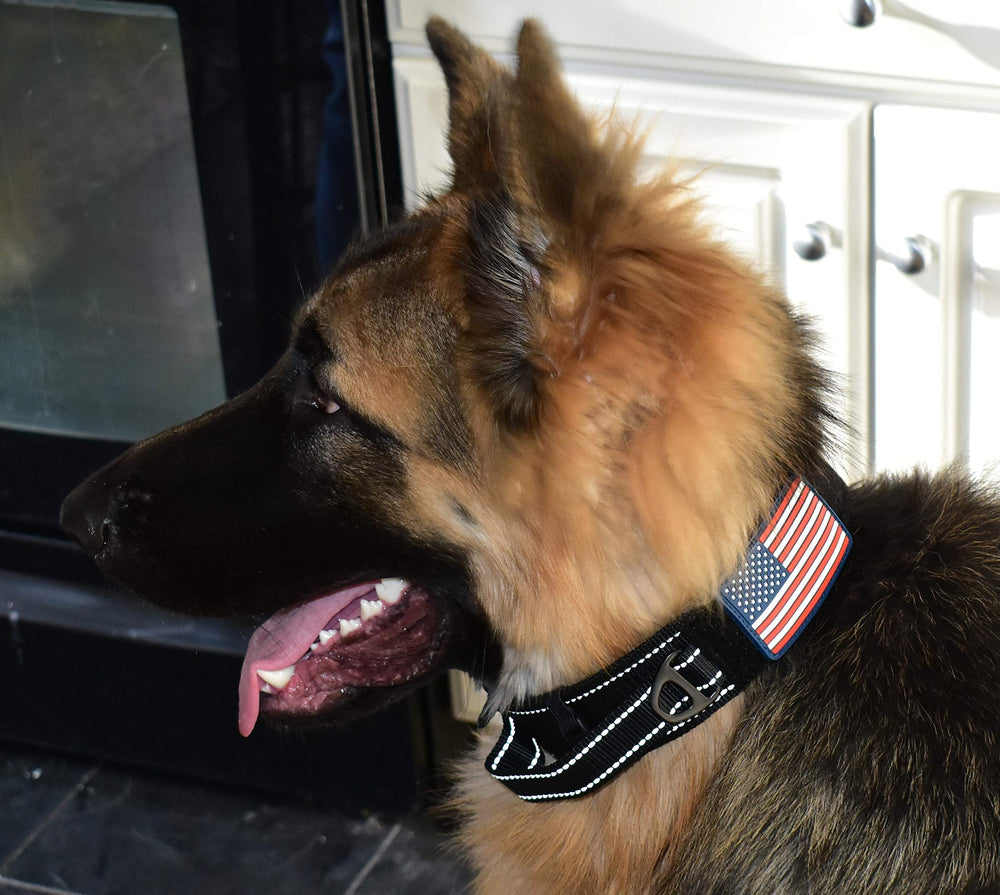 DEZIZEUSK9 USA flag patch on collar for outdoor adventures.