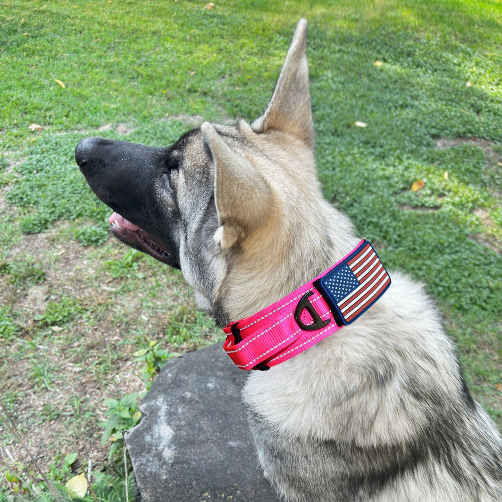 DEZIZEUSK9-usa-patch-durable-collar features USA flag patch for a premium look