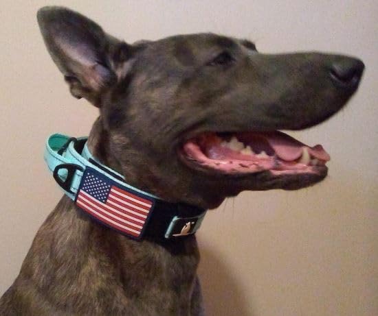 DEZIZEUSK9 USA patch adds distinctive gear styling