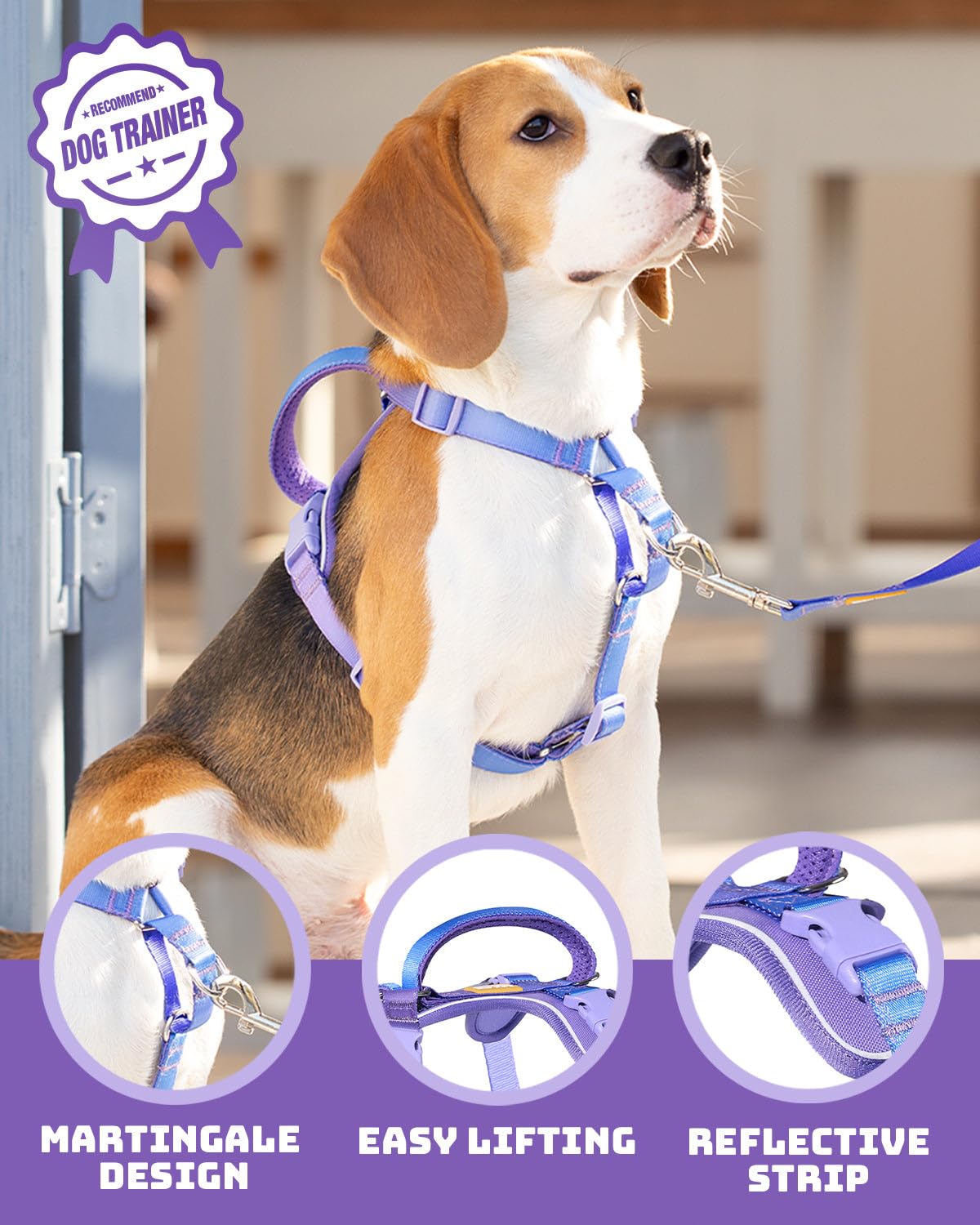 DF Freedom No Pull Harness martingale loop enables gentler pressure distribution during training.